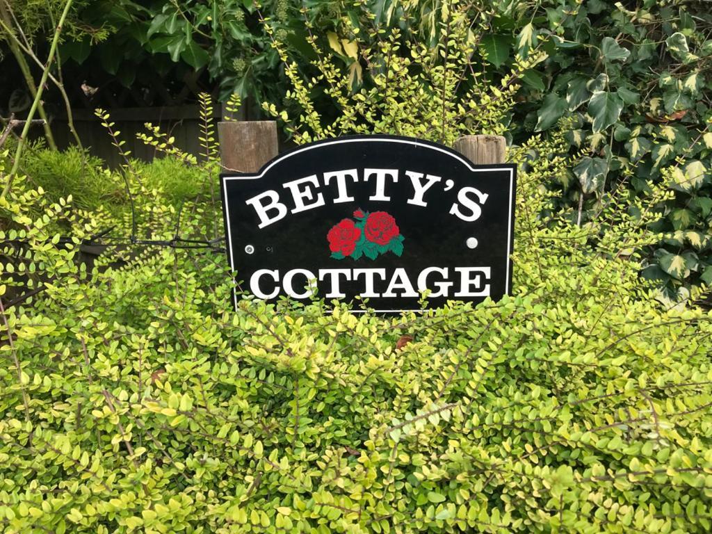 Betty'S Cottage - Traditional Norfolk Farm Cottage Swafield Exterior photo
